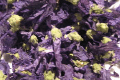 Blue Mallow Flowers 25 g