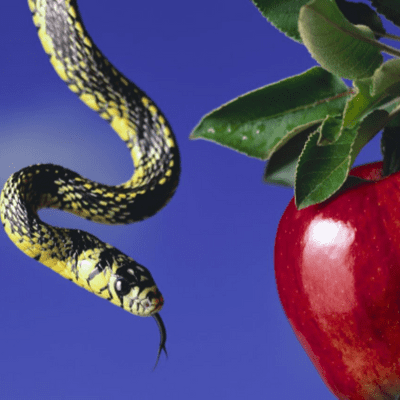 Eden's Serpent Spell