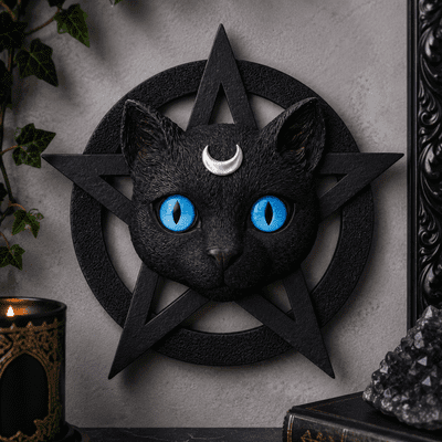 Feline Worship Cat Pentagram Wall Plaque 25.5cm