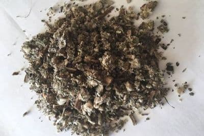 Mullein 25g