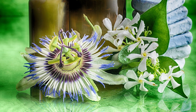 Passion Flower 25g
