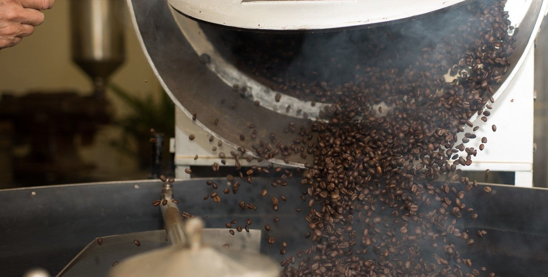 Brewbird Coffee Eco Roast Coffee