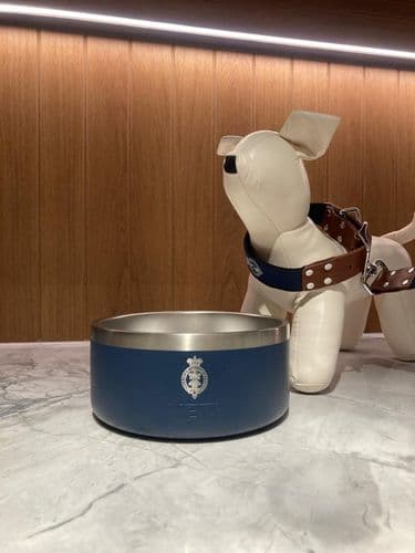 YETI  Dog Bowl