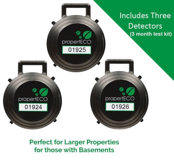 3-Month Radon Test Kit (3 Detectors)