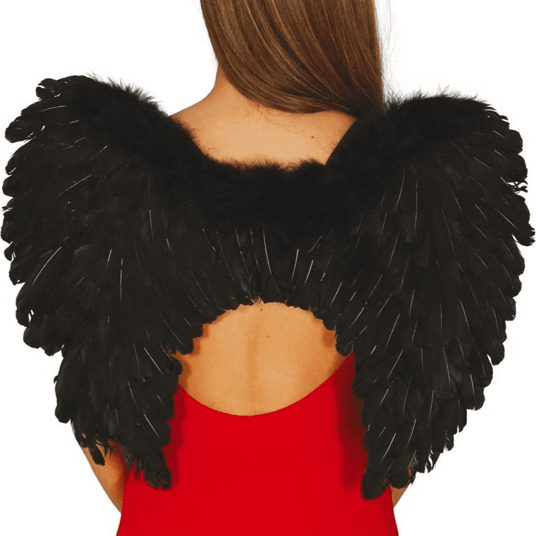 Black Feather Wings