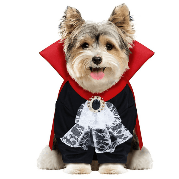Dog Vampire Costume