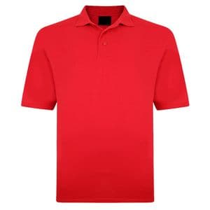 Back To Basics Polo 1150 Red
