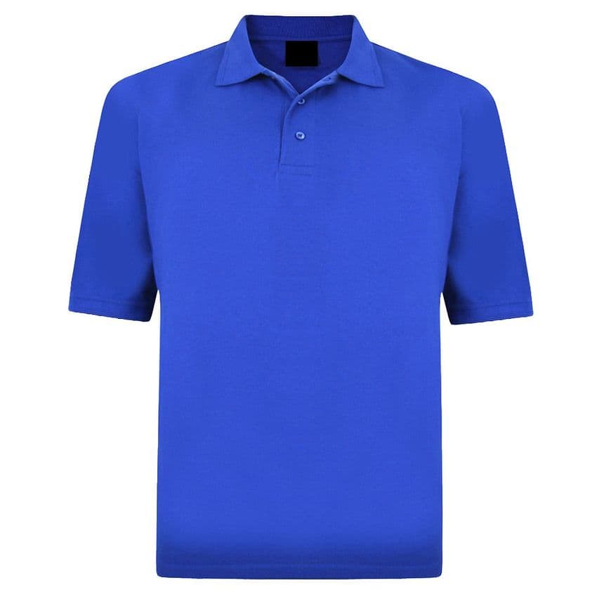 Back To Basics Polo 1150 Royal