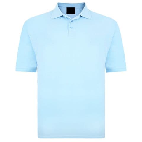 Back To Basics Polo 1150 Sky