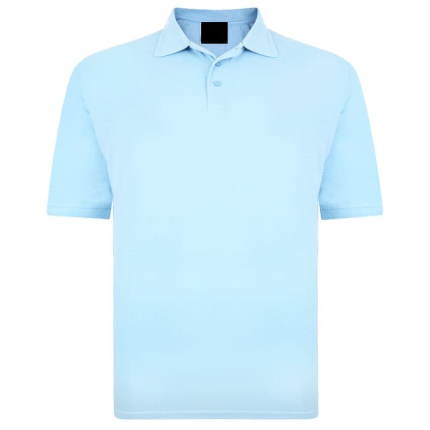 Back To Basics Polo 1150 Sky