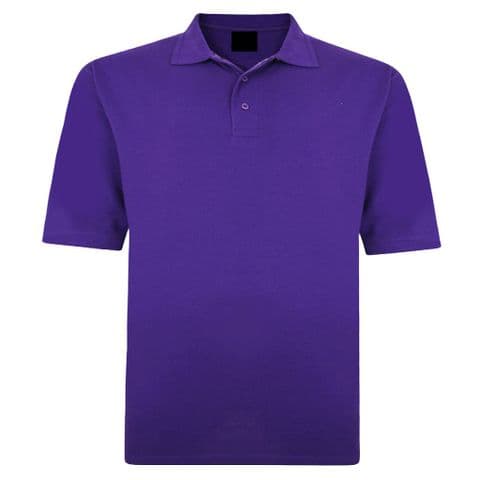 Back To Basics Purple 1150 Purple