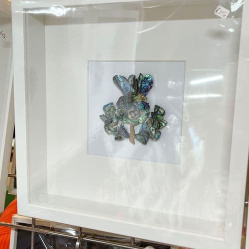 Box Frame Art - Paua Mosaic Thistle Natural