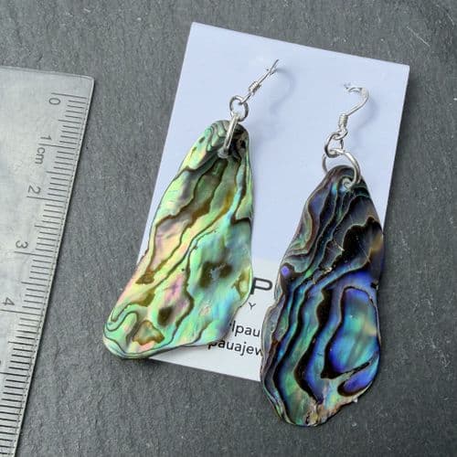 Earrings - PE02-N Paua Natural B3