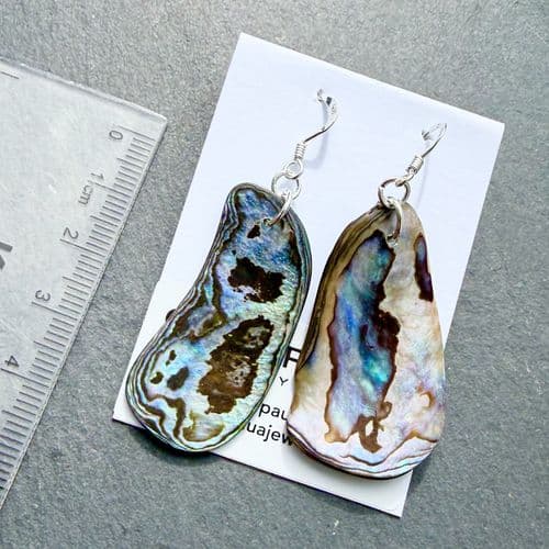 Earrings - PE02-N Paua Natural Q