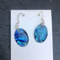 Earrings - PE18 Paua Blue Oval 18x13mm