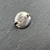 Paua Brooch 1