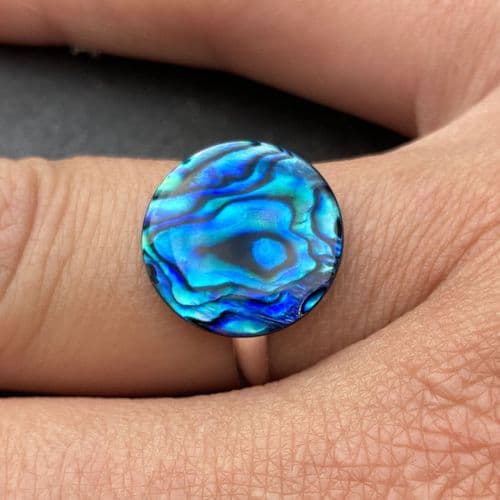Ring - Adult Size Band, Large Shell (15mm or 18x13mm)