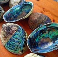 Swirl Paua Shell - Half Polished Swirl Crust on top