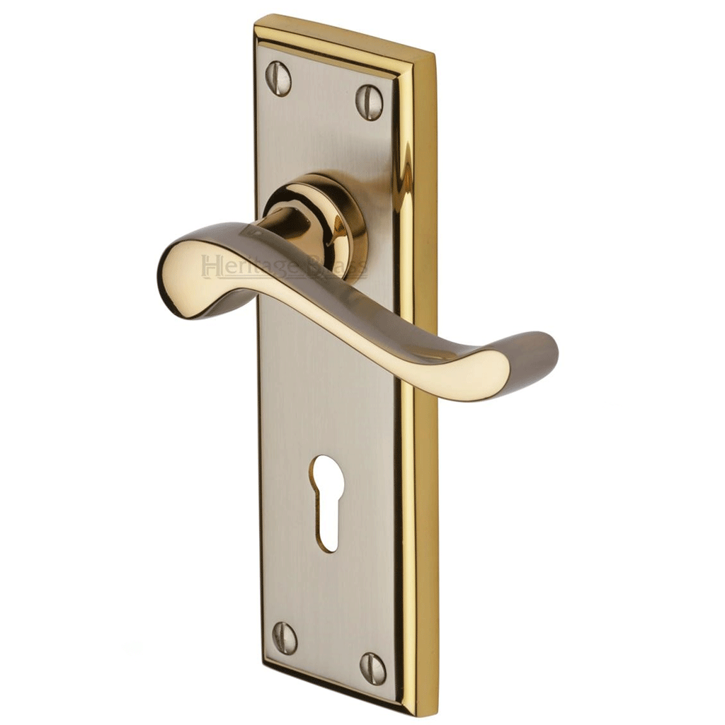 Edwardian Handle On Backplate Various Finishes & Options