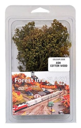Forest in a Flash - Ash Cotton Wood