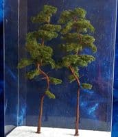 Model Scene BR200 Pine Trees 180-220mm Pack of 2