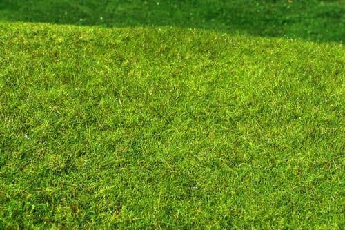 Model Scene F021 Grass Mat High Grown Meadow Spring
