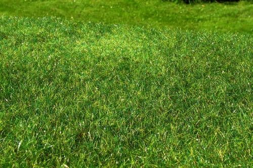 Model Scene F022  Grass Mat High Grown Meadow Early Summer