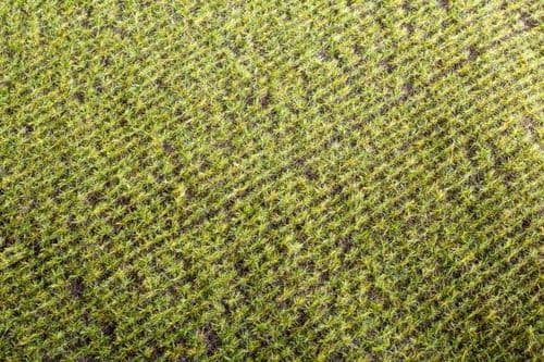 Model Scene F401 Agro Line Grass Mat Spring Field