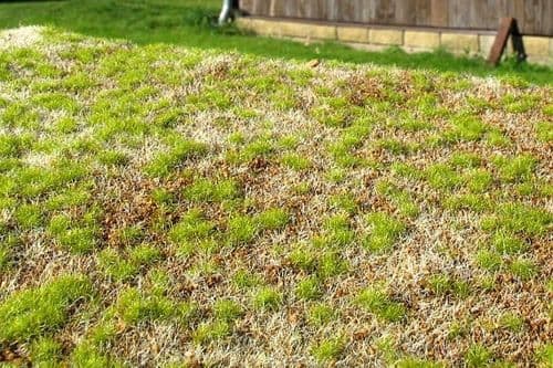 Model Scene F531 Grass Mat Steppe Spring