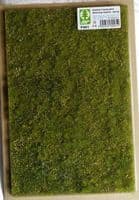 Model Scene F561 Premium Grass Mat Blooming Meadow Spring
