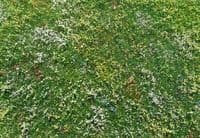 Model Scene F562 Premium Grass Mat Blooming Meadow Early Summer