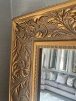 Fabulous Ornate Decorative Mirror - Choice of Size & Frame Colour - VERONA