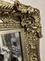 LG Antique Champagne Wall Mirror Ornate Baroque Decorative 120cm x 90cm CLARENCE - Fabulous Mirrors