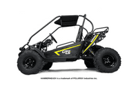 Hammerhead™ 150GTS Off Road Buggy - BLACK