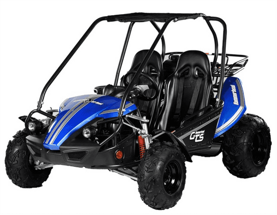 Hammerhead™ 150GTS Off Road Buggy - BLUE