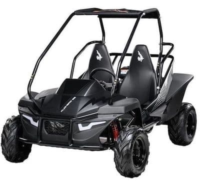 Hammerhead Mudhead™ 208R SE Reverse Kids Off Road Buggy - BLACK