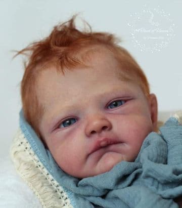 August Awake - Last 1