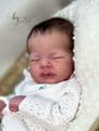 Baby Bep - Pre-Order on 22nd of June @ 00:00 UK Time