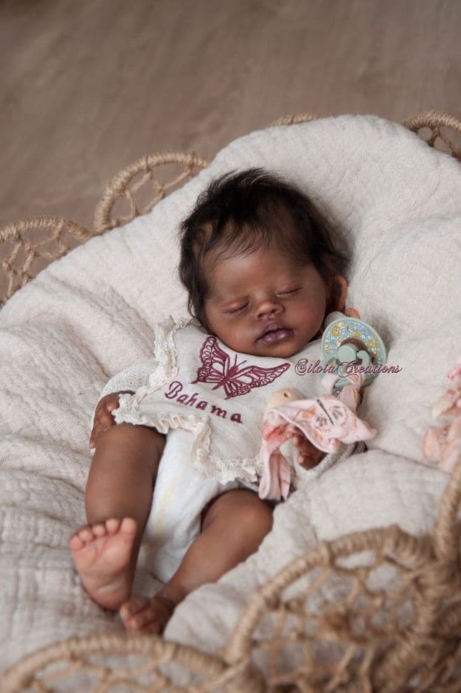 Bahama - Pre-Order on 6th of January