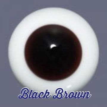 Black Brown - LARGE IRIS