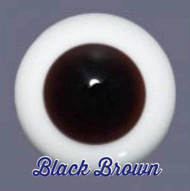 Black Brown - LARGE IRIS
