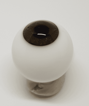 Honey Brown - LARGE IRIS