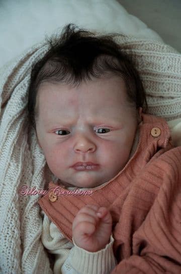 Jayden Awake - Last 1