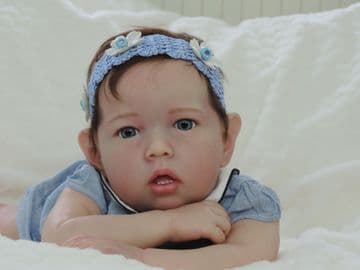 Liam - Bonnie Brown SOLD