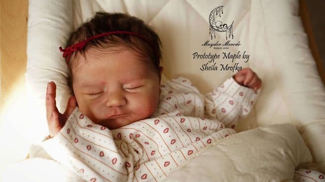 Maple - Pre-Order on 12th of February