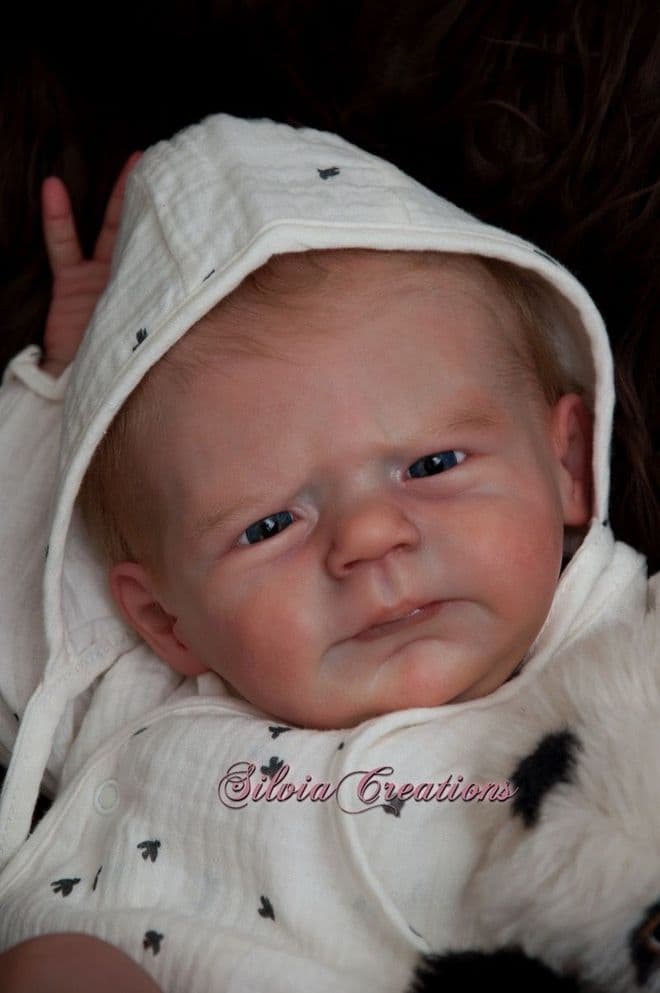 Maxi - Pre-Order on 1st of November