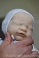 Newborn Baby Harry - Pre-Order on 17th of June
