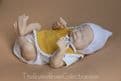 Newborn Baby Harry (Twin A limbs) - Pre-Order on 17th of June