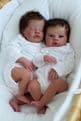 Primrose Asleep - Last 1