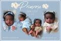 Primrose Asleep - Last 1